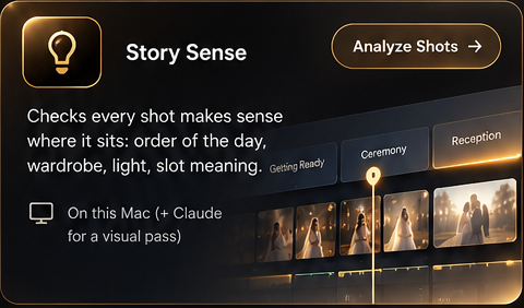 Story Sense: checks every shot makes sense where it sits.